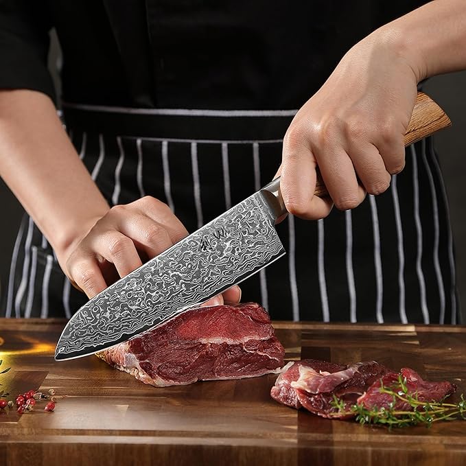Wakoli EDIB Pro 6-Piece Damascus Knife Set, VG10 Core 67-Layer Damascus Steel Kitchen Knives with Ergonomic Pakkawood Handles, Chef Knife Set in Elegant Gift Box, Hand Wash Only