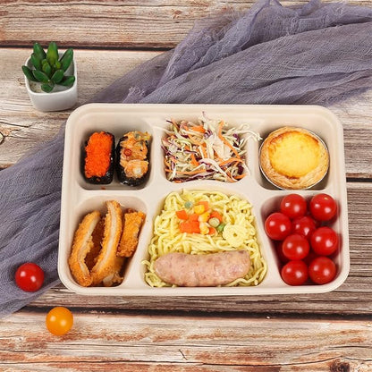 Sugarcane Fiber 40 oz 6 Compartments disposable plates with Lids Bagasse Plant Fibers Freezer Safe 25 Pack