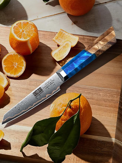 HOSHANHO Damascus Paring Knife 4 Inch, 67-Layer Damascus Steel Professional Small Kitchen Knives, Ultra Sharp Fruit Knife with Ergonomic Blue Resin Stabilized Wood Handle and Wood Gift Box