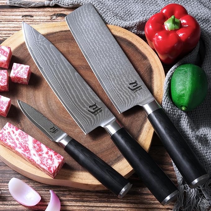 SUNCHUN 3-Piece VG-10 Damascus Kitchen Knife Set with Double-Sided Sharpening Stone – Nakiri, Chef & Paring Knives, 67-Layer Tsunami Wave Pattern, Black Pakka Wood Handles, 60±2 HRC (3-Piece-Set)