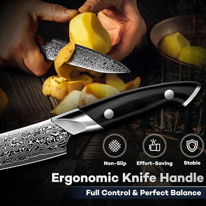DRAGON RIOT Japanese Chef Knife Set 3Pcs, VG10 Steel Japanese Razor-Sharp Kitchen Knives Set with Gift Box