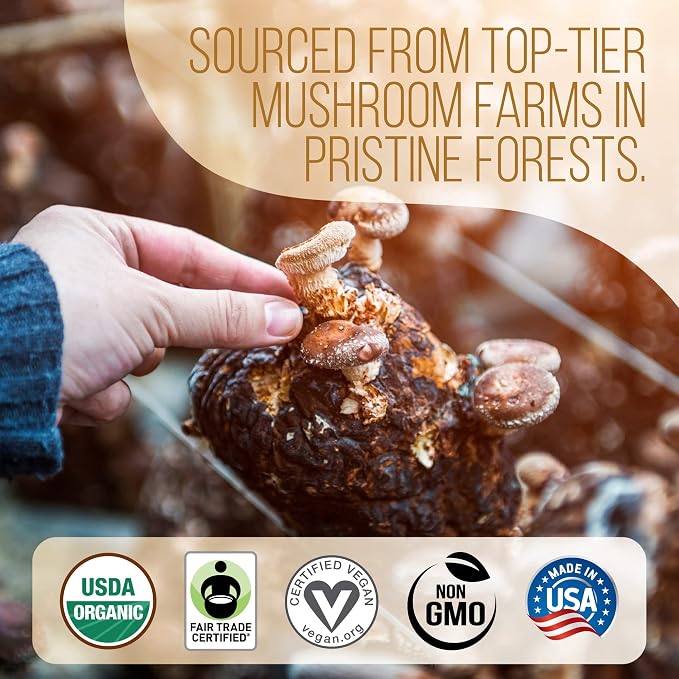 La Republica Ground Mushroom Coffee, Organic Fair Trade Arabica with Superfood Mushrooms (Medium Roast, 60 Servings)