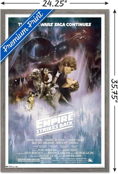 Trends International Star Wars: The Empire Strikes Back - The Saga Continues One Sheet Wall Poster, 22.375" x 34", Barnwood Framed Version