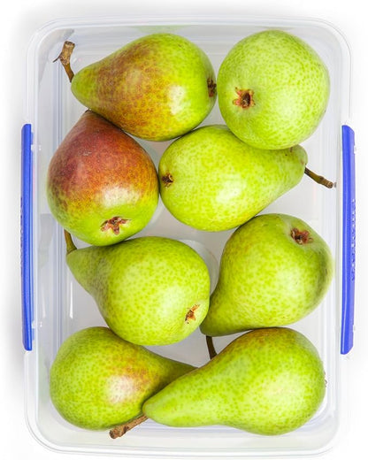 Sistema Klip It Multi-Use Food Storage Container Set, 6-Piece