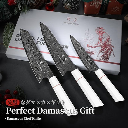 DRGSKL Japanese Knife Set Damascus - VG10 Kitchen Knife Set 3 PCS for Fruit, Vegetables, Fish and Meat - Japanese G10 Handle - Gifts for Men and Women