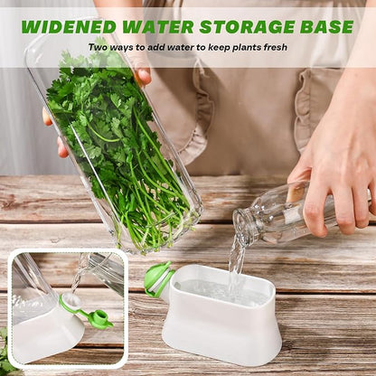 Baderke 2 Pieces Herb Saver for Refrigerator Fresh Herb Keeper Cilantro Container for Fridge Saver Pod for Cilantro, Parsley, Asparagus, Keeps Vegetables for 2-3 Weeks(White)