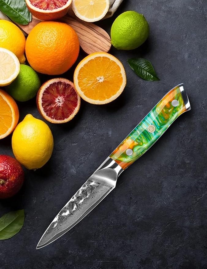 3.5 Inch Paring Knife - Fruit and Vegetable Peeling Knives, Forged Damascus Steel & Resin Handle - YAO Series