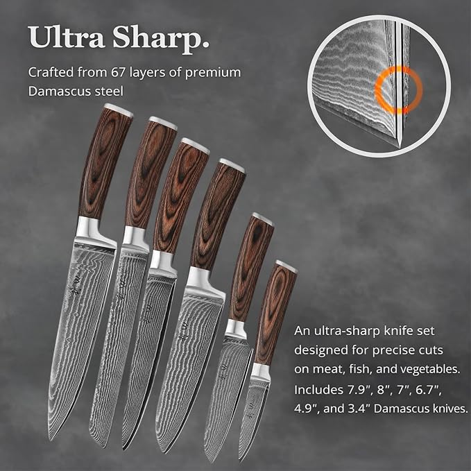 Wakoli EDIB 6-Piece Damascus Knife Set – Professional Chef Knives Set with VG10 Core Blades, 67-Layer Damascus Steel and Ergonomic Pakkawood Handles – Premium Kitchen Knives in Elegant Gift Box