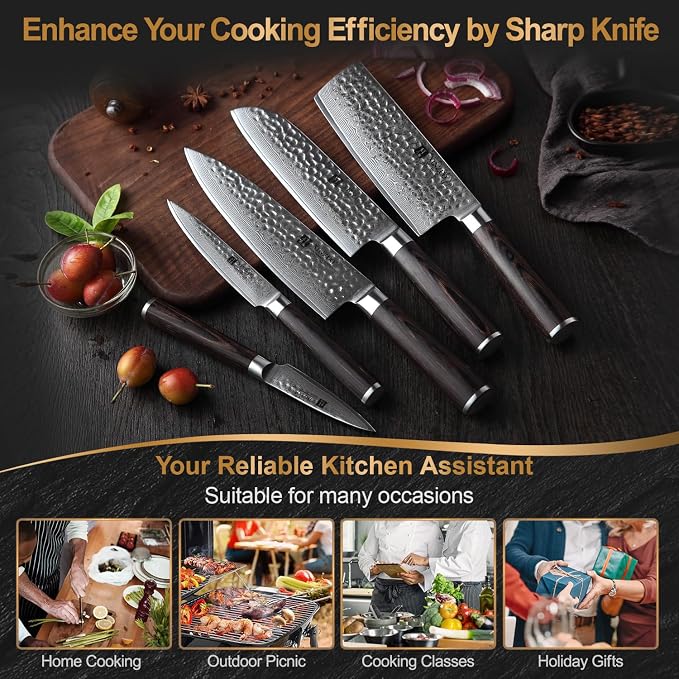 XINZUO Kitchen Cutting Knife Set of 5 Piece,67 Layers Hammered Damascus Blade,Razor Sharp Japanese-Style Chef Knife Set with Pakkawood Handle,Gift Box