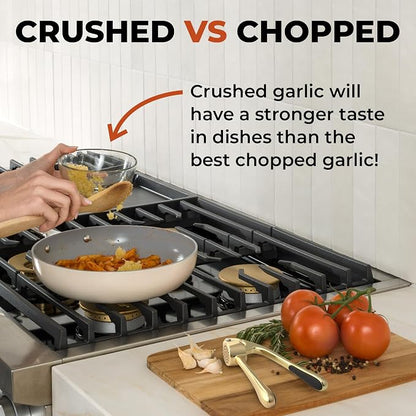 Zulay Kitchen Premium Garlic Press - Durable Garlic Masher with Soft, Easy to Squeeze Handle -