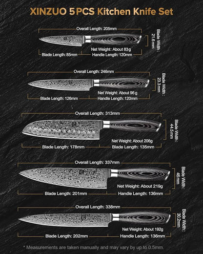 XINZUO 5-Piece Kitchen Knife,Super Sharp Damascus Steel Professional Chef Knife Set with Pakkawood Handle, Gift Box