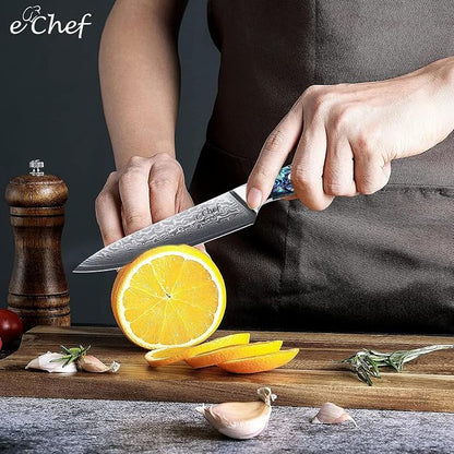 5-Inch Multifunctional Knife, 67-Layer Damascus VG-10 Steel, Abalone Handle, Sharp Knife for Fruits & Vegetables, Gift Box(5-inch utility knife)