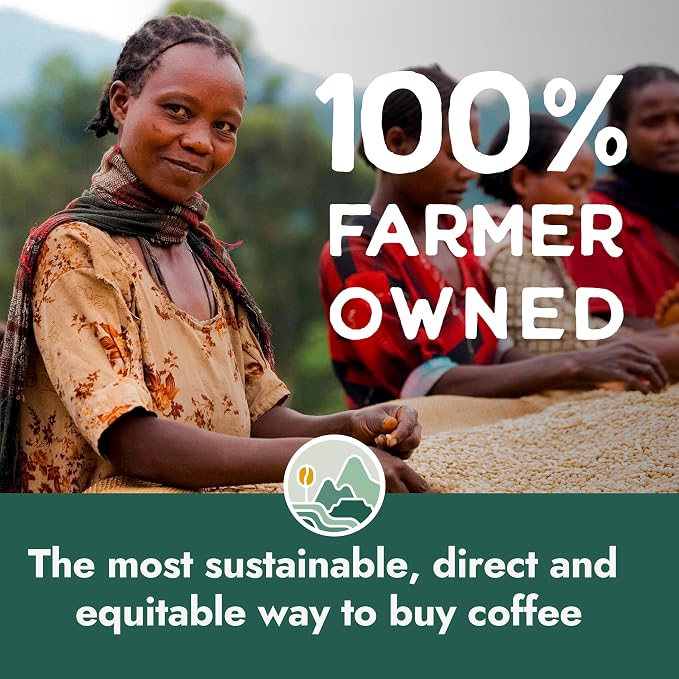 Pachamama Organic Coffee - Espresso Beans - Dark Roast Whole Bean Coffee - 2 lb - Farmer Owned & Regenerative