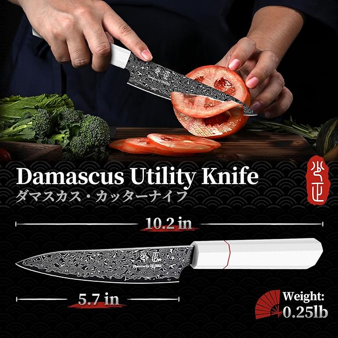 DRGSKL Damascus Kitchen Utility Knife - Japanese VG10 Small Chef Knife 6 inch - Japanese G10 Handle - Versatile Knives for Vegetable Fruit Meat - with Gift Box