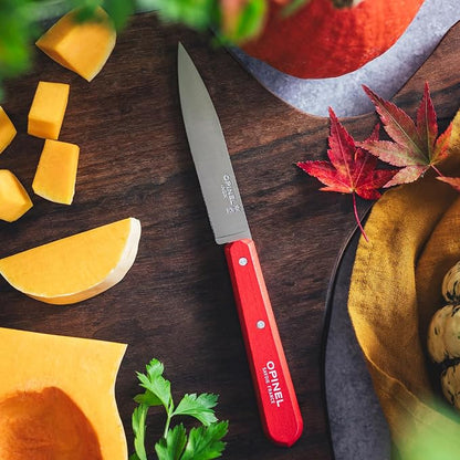 Opinel No. 112 Paring Knives Box Set, 4 Piece Paring Knife Set, High Carbon Steel for Chopping, Peeling, Slicing, Trimming, Painted Hornbeam Handles, Made in France (Classic), One Size, (001233)