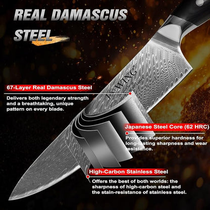8 Inch Chef Knife, Japanese-Style VG10 Damascus Kitchen Knife, 67-Layer Forged Blade with Black Wood Handle, Razor Sharp Cooking Knife for Meat, Vegetables & Fruit