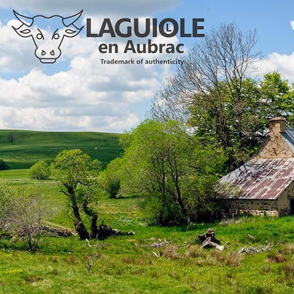 Laguiole en Aubrac Handmade Knife 11 cm L0211BUIF Buffalo Horn Handle, Blade and bolsters Stainless Steel Shiny