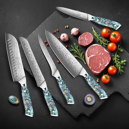 KEENZO Damascus Chef Knife Set 5 pcs, Professional Kitchen Knives Set, Chef's Knife, Santoku,Bread, Paring, Fillet, Utility,Sharp Blade Cooking Knife set, Ergonomic Abalone Shell handle with Gift Box
