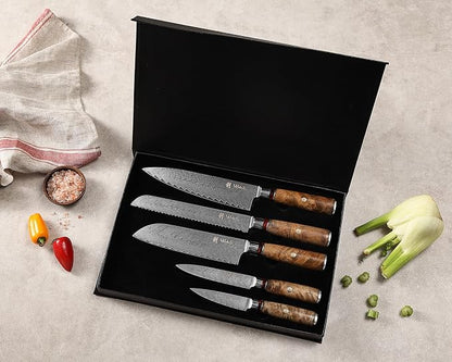 Wakoli Damascus Chef Knife Set with Magnetic Block – 5-Piece Professional Kitchen Knife Block Set, Genuine 67-Layer Damascus Steel Blades with VG10 Core & Ergonomic Sycamore Wood Handles