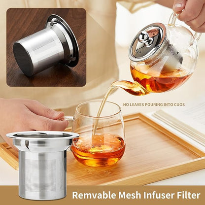 Glass Teapot with Removable Infuser, 20 oz/600ml Glass Tea Pot Small Borosilicate Tea Steeper Kettle with Loose Leaf Tea Strainer For Flower Blooming Tea, ClearTea Maker Pitcher