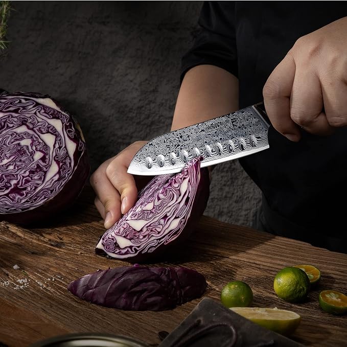 FANTECK Santoku Knife 5 Inch Damascus Japanese Steel Kitchen Knife,VG10 67-Layer High Carbon Full Tang Best Chef Santoku knives for Pro Chef&Restaurant, Blue G10 Handle,Gift Box&Sheath