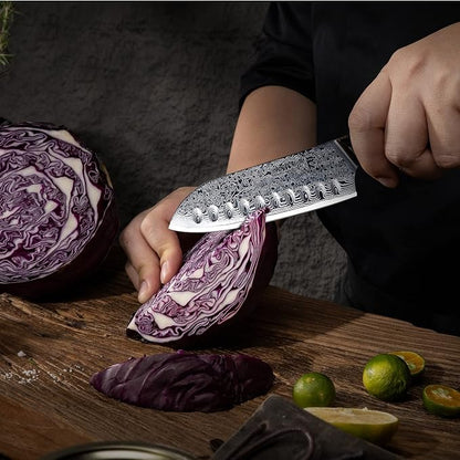 FANTECK Santoku Knife 5 Inch Damascus Japanese Steel Kitchen Knife,VG10 67-Layer High Carbon Full Tang Best Chef Santoku knives for Pro Chef&Restaurant, Blue G10 Handle,Gift Box&Sheath