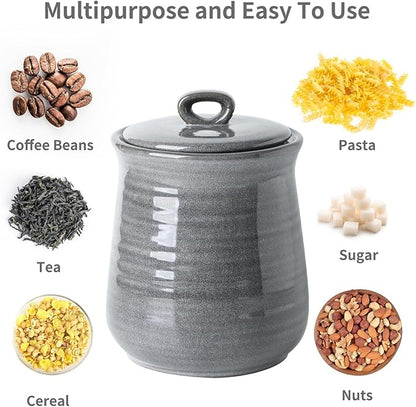 HASENSE Large Ceramic Coffee Canister with Airtight Lid, 80 FL OZ Grey Porcelain Food Storage Container, Farmhouse Kitchen Countertop Jar for Coffee Beans, Flour, Sugar, Cereal & Cookies