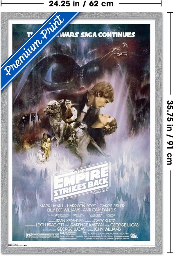Star Wars: The Empire Strikes Back - The Saga Continues One Sheet Wall Poster, 34L" x 22.4W", Gray Framed Version