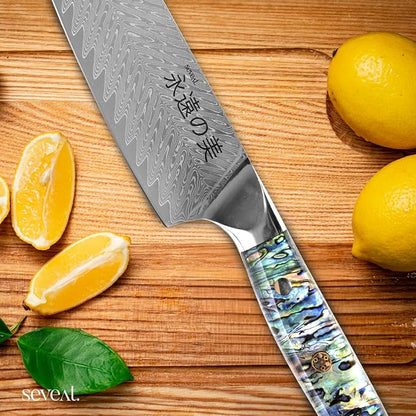 Damascus Kitchen Knife Set | 67-Layer Damascus Steel | Professional Chef Knives Set | Ergonomic Blue Shell Handle | Gift Box Included (Blue-2, 3-Piece Set)