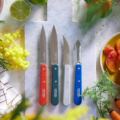 OPINEL Les Essentials - Small Kitchen 4 Piece Knife Set - Paring, Serrated, Peeler, Vegetable Knife, Corrosion Resistant High Carbon Steel, Made in France (Primo)