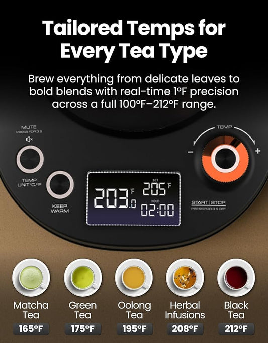 Vianté Electric Gooseneck Kettle with Precise Temperature Control. Pour Over Coffee & Tea Kettle. Boil-Dry Protection & Keep Warm Function. Stainless Steel, BPA-Free. Includes #2 Filters. 0.8L