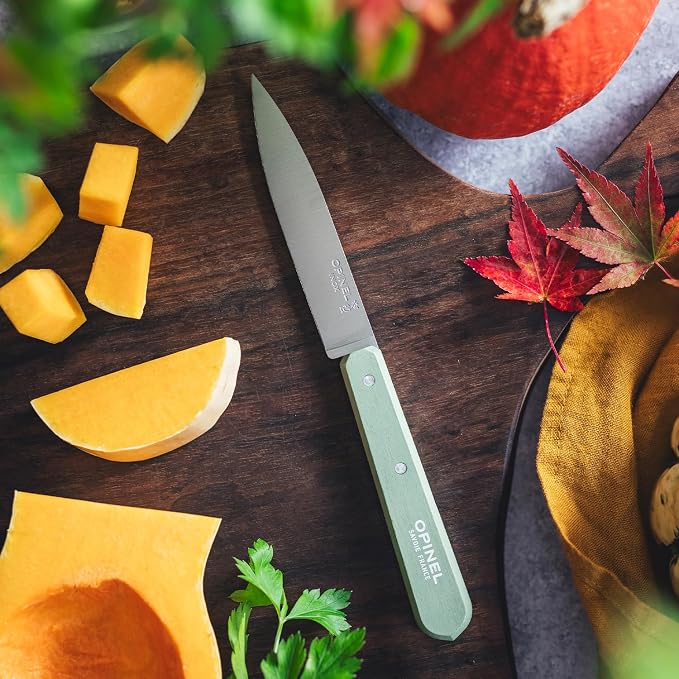 OPINEL No. 112 Paring Knives 4 Piece Box Set, High Carbon Stainless Steel, Painted Hornbeam Handles, Made in France (Paysage)