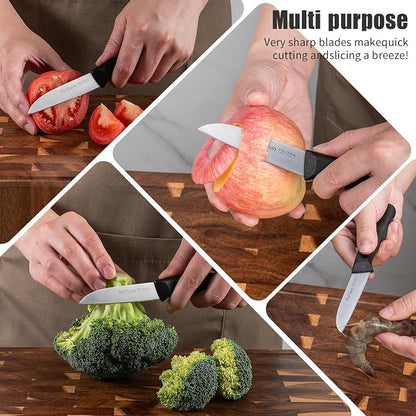 Stainless Steel Paring Knife Set (6 Pieces)，Ultra Sharp Vegetable and Fruit Knife, Black Paring Knife with Straight Edge，Small Kitchen Knife with PP Plastic Ergonomic Handle