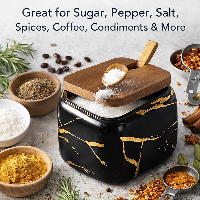 3 Pcs Porcelain Condiment Jar Pot Spice Container Ceramic Seasoning Jar with Lid Spoon and Tray Great for Home Kitchen Counter, Black