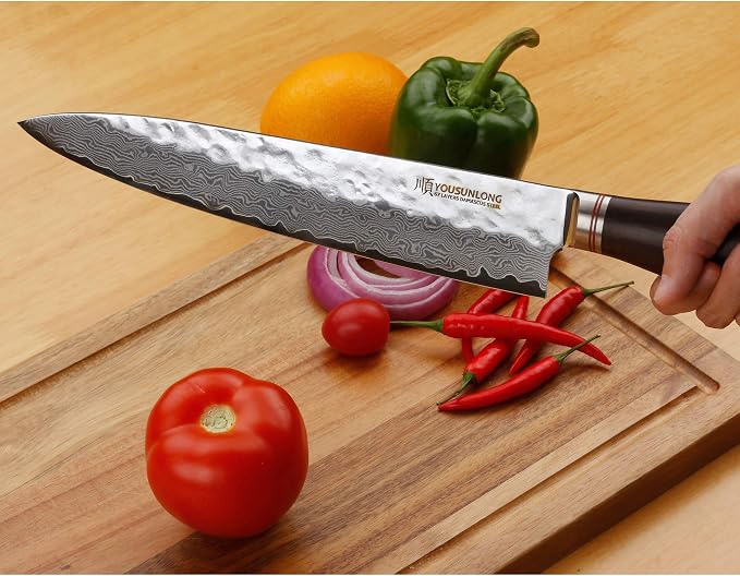 YOUSUNLONG Gyuto 10 inch Pro Chef's Knives Japanese Hammered Damascus Natural Leadwood Handle with Leather Sheath
