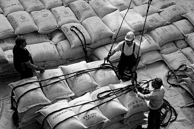 Bristot Moka Oro Ground Coffee | Italian Ground Espresso | Medium Roast | 16 Bags