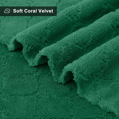 Homaxy 12 Pack Dish Towels for Kitchen (13 x 19 Inches, Dark Green), Super Soft and Absorbent Coral Velvet Dish Cloths for Washing Dishes, Nonstick Oil Fast Drying Microfiber Cleaning Cloth