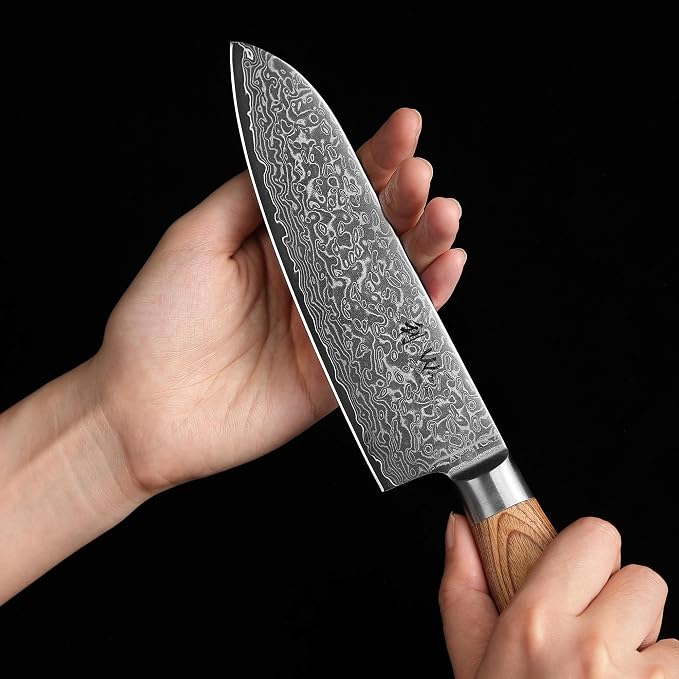 Wakoli EDIB Pro 4-Piece Damascus Knife Set – Professional Chef Knives Set with VG10 Core Blades, 67-Layer Damascus Steel and Ergonomic Pakkawood Handles – Premium Kitchen Knives in Elegant Gift Box