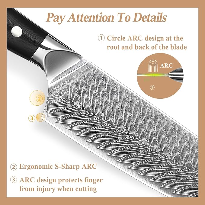 Damascus Chef Knife 8 inch, 67-Layer High Carbon Steel Kitchen Knife Ultra Sharp Japanese Chef Knives, Professional Kitchen Chef's Knife, with G10 Ergonomic Handle/Gift Box