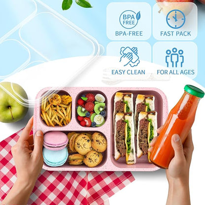 Bento Box 4-Pack 5-Compartment Meal Prep Containers, BPA-Free Plastic, Stackable Food Storage Lunch Boxes for Adults and Kids, School Work Travel (4 Colors)