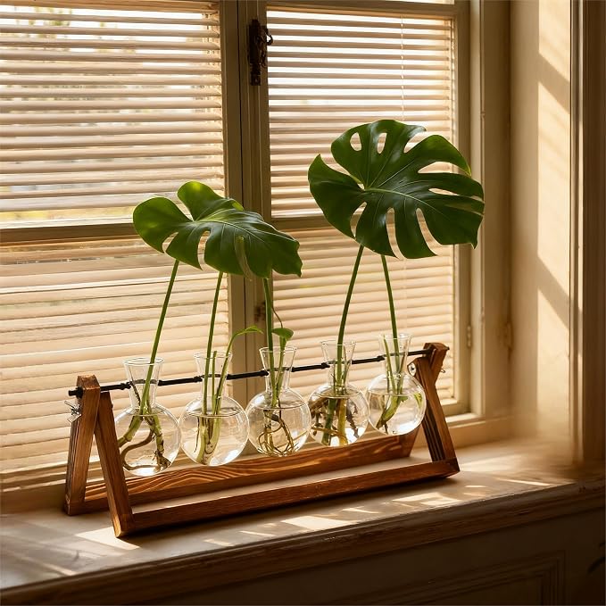 Renmxj Plant Propagation Stations with Wooden Stand & 5 Glass Bulb Vases | Plant Terrarium for Indoor Plants, Home Office Desk Decor, Gardening Gifts for Women Mom, Birthday Gifts for Plants Lovers