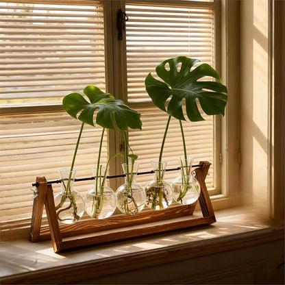 Renmxj Plant Propagation Stations with Wooden Stand & 5 Glass Bulb Vases | Plant Terrarium for Indoor Plants, Home Office Desk Decor, Gardening Gifts for Women Mom, Birthday Gifts for Plants Lovers