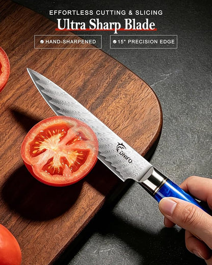 Kitchen Utility Knife 5 Inch, Japanese VG10 Steel Damascus Paring knife, Small Kitchen Chef Knife with Gift Box and Resin Wood Handle, Ideal Gift for Your Beloved Men or Women
