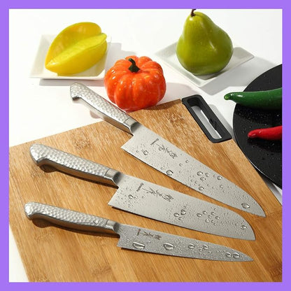 Japanese Chef Knife INOX AUS-8A Stainless Steel Integrated Handle, Gyuto 8.3-inch (210mm)