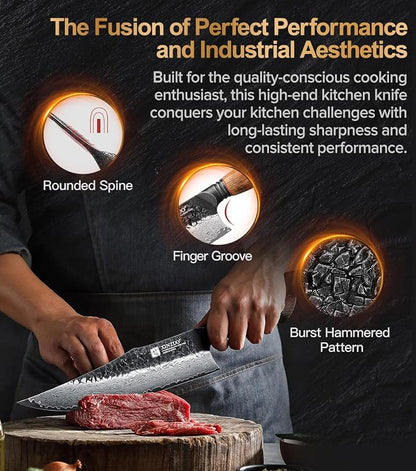 XINZUO 10 inch Professional Chef Knife,67 Layers 10Cr15CoMov High Carbon Damascus Steel Knife For Kitchen,Very Sharp，White Oak + Red G10 Gasket Handle