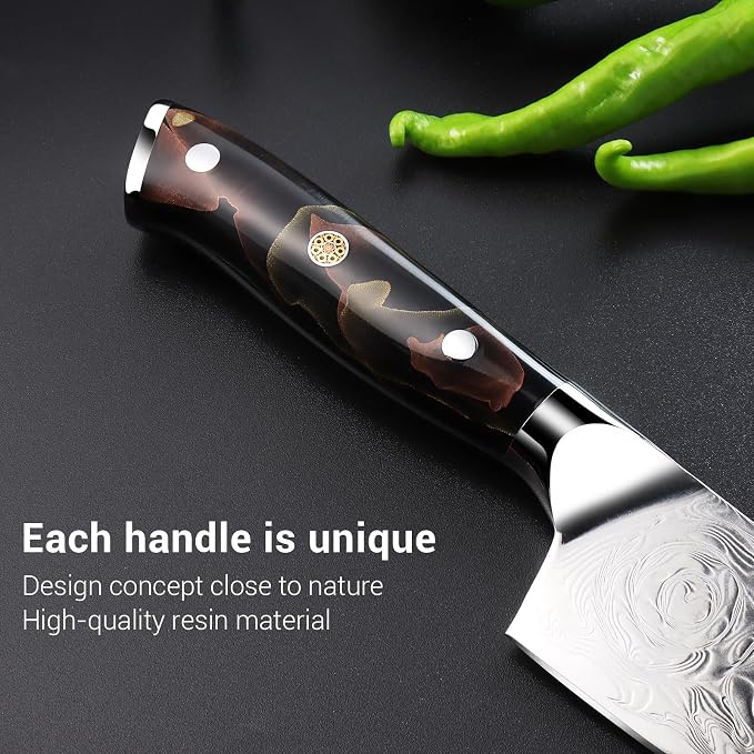 Professional Japanese Damascus Chef Knife 8 Inch - VG-10 High Carbon Steel, Ergonomic Resin Handle with Leather Sheath & Luxury Gift Box