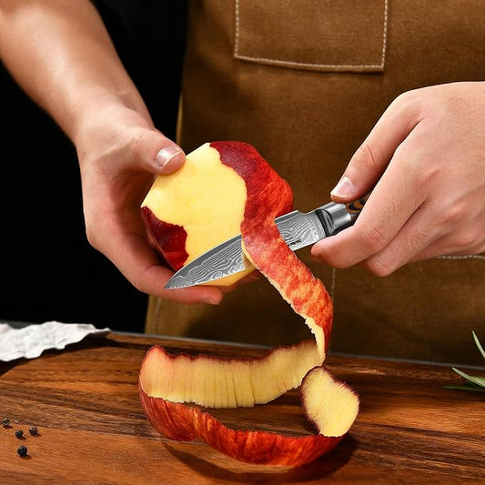 Damascus Paring Knife 3.5" - Professional 67-Layer VG10 Steel, Ultra Sharp 12° Edge Kitchen Utility Knife with Pakkawood Handle & Gift Box for Peeling, Slicing, Garnishing, Fruit Vegetable Prep