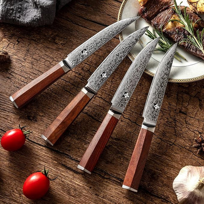 Steak Knives Set of 4 with In-Drawer Knife Block, 5 inch Damascus Steak Knife Set VG-10 Damascus Super Steel 67-Layer Non Serrated Steak Knives with Natural Wood Handle, Gift Box