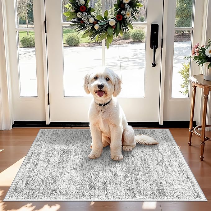 Washable Rug 2x3 for Entryway, Small Non-Slip Kitchen Throw Mat for Sink, Soft Low-Pile Stain & Fade-Resistant Indoor Mat for Pet Area & Bathroom (Grey/Ivory)