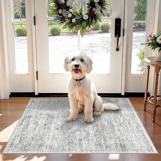 Washable Rug 2x3 for Entryway, Small Non-Slip Kitchen Throw Mat for Sink, Soft Low-Pile Stain & Fade-Resistant Indoor Mat for Pet Area & Bathroom (Grey/Ivory)